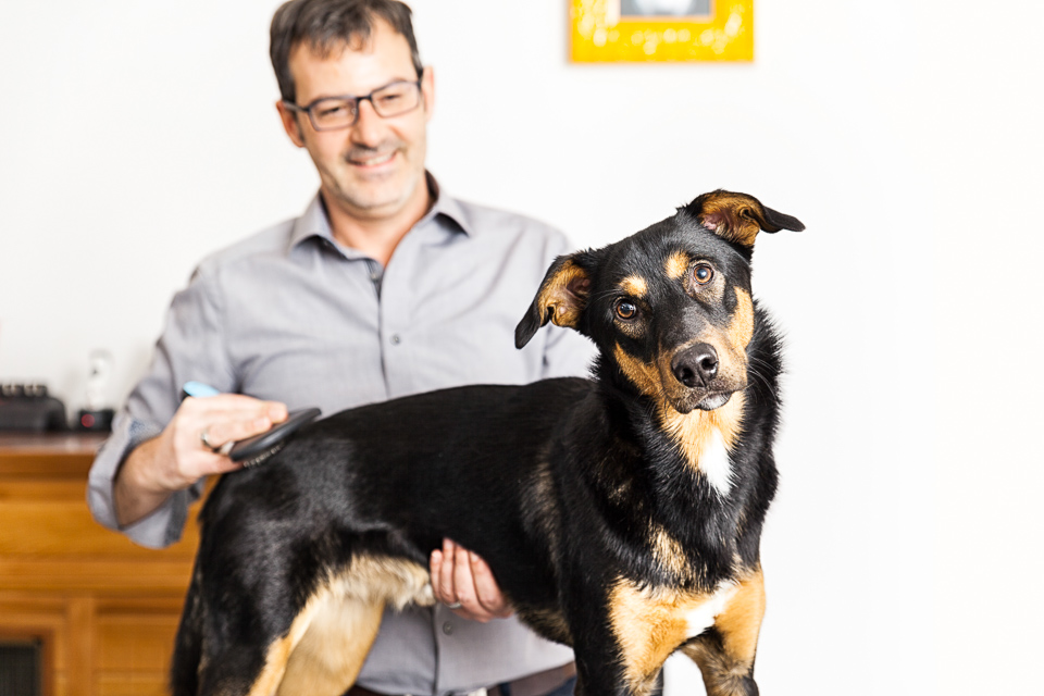  Hundesalon,München,Hundefriseur,Hund,Bayern,Salon für Hunde,Scheeren,Trimmen,Hund in München,hundepflege,Pflege für Hunde in München,Welpenservice,Hundefrisuren,Fellpflege,Mundhygiene,Ohren- und Augenpflege,Krallen- und Ballenpflege 