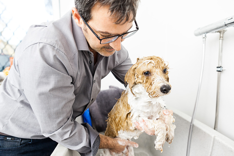  Hundesalon,München,Hundefriseur,Hund,Bayern,Salon für Hunde,Scheeren,Trimmen,Hund in München,hundepflege,Pflege für Hunde in München,Welpenservice,Hundefrisuren,Fellpflege,Mundhygiene,Ohren- und Augenpflege,Krallen- und Ballenpflege 